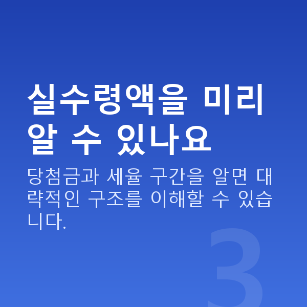 로또실수령액 실수령액을 미리 알 수 있나요