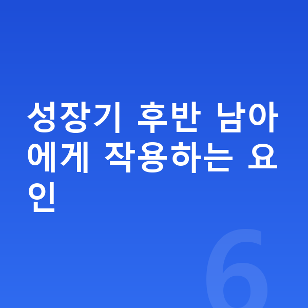15세 남아 평균키 성장기 후반 남아에게 작용하는 요인
