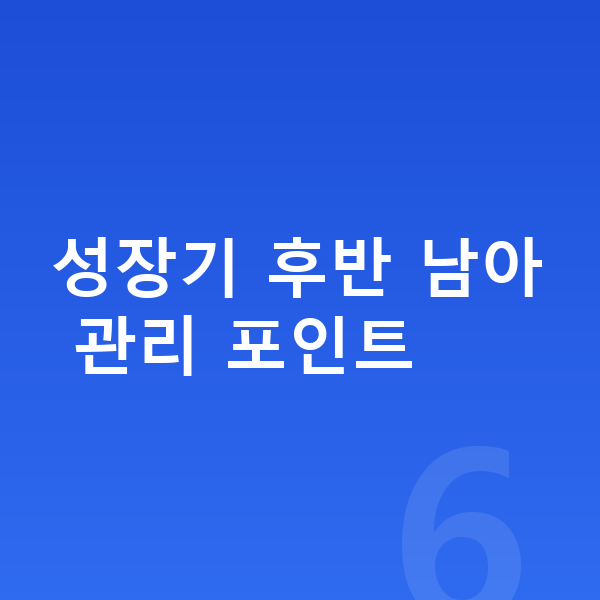 15세 남자 평균키 성장기 후반 남아 관리 포인트
