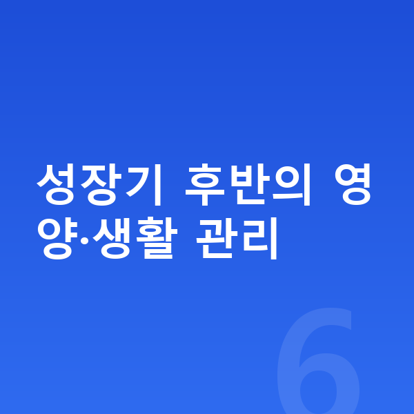 15세 평균키 성장기 후반의 영양·생활 관리