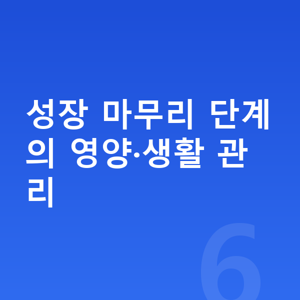 16세 평균키 성장 마무리 단계의 영양·생활 관리