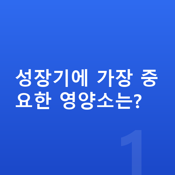 고등학생 키크는영양 성장기에 가장 중요한 영양소는?