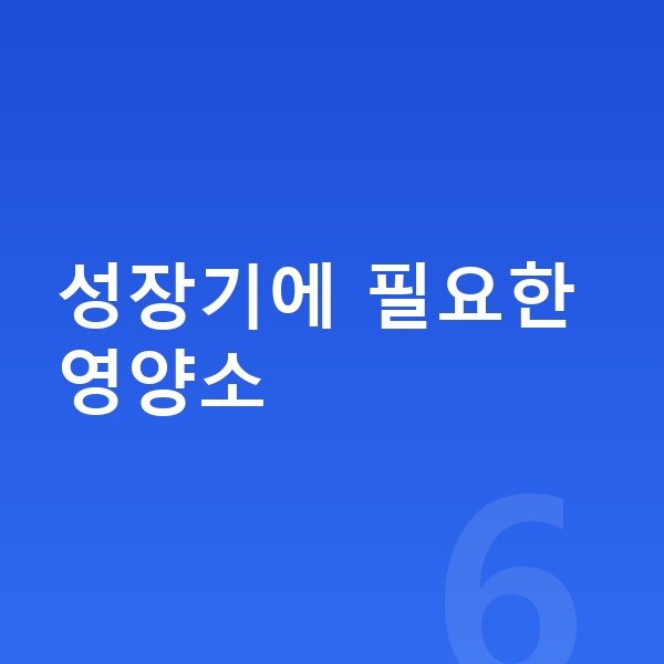고등학생 키크는영양 성장기에 필요한 영양소