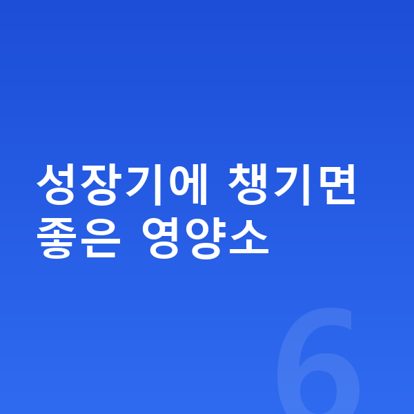고등학생 키크는음식 성장기에 챙기면 좋은 영양소