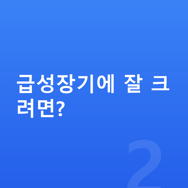 급성장기 급성장기에 잘 크려면?