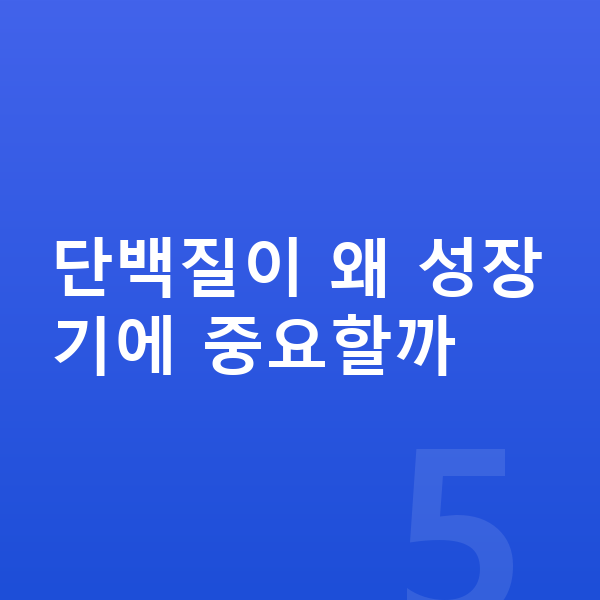 남아 단백질 단백질이 왜 성장기에 중요할까