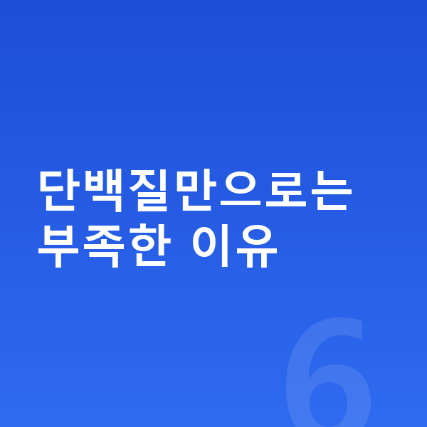 남아 단백질 단백질만으로는 부족한 이유