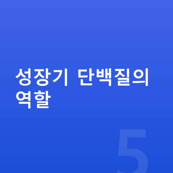 남아 성장 단백질 성장기 단백질의 역할