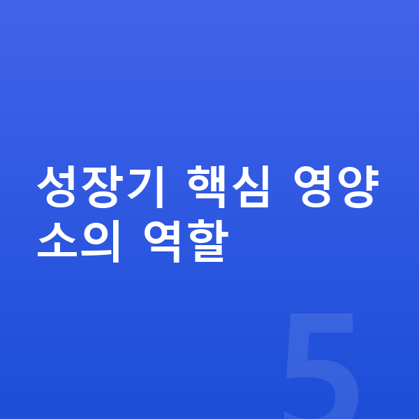 사춘기 키크는영양 성장기 핵심 영양소의 역할