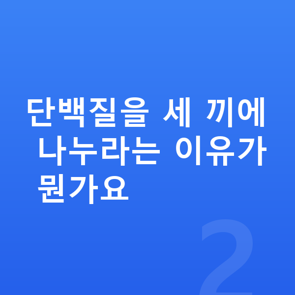 성장기 성장 단백질 단백질을 세 끼에 나누라는 이유가 뭔가요