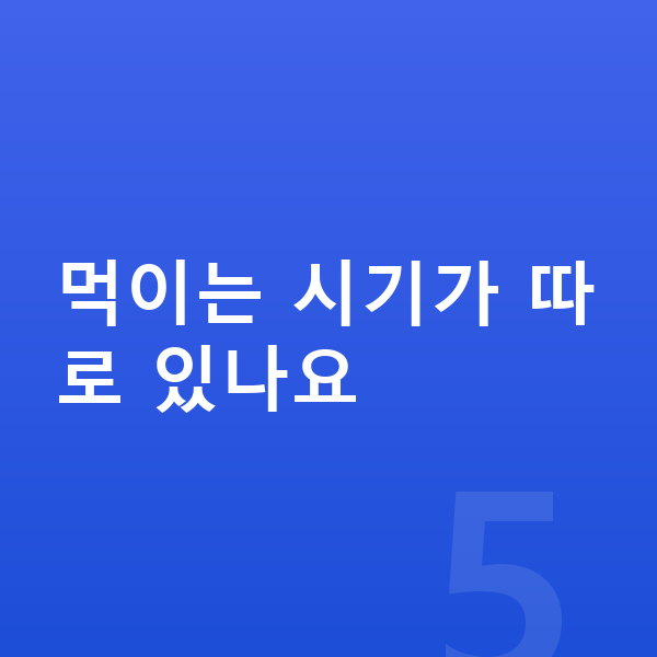 성장기 성장보조제 먹이는 시기가 따로 있나요