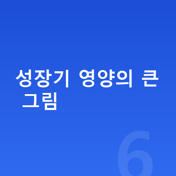 성장기 영양 성장기 영양의 큰 그림