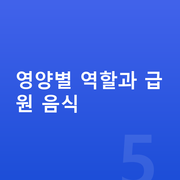 성장기 필수영양 영양별 역할과 급원 음식