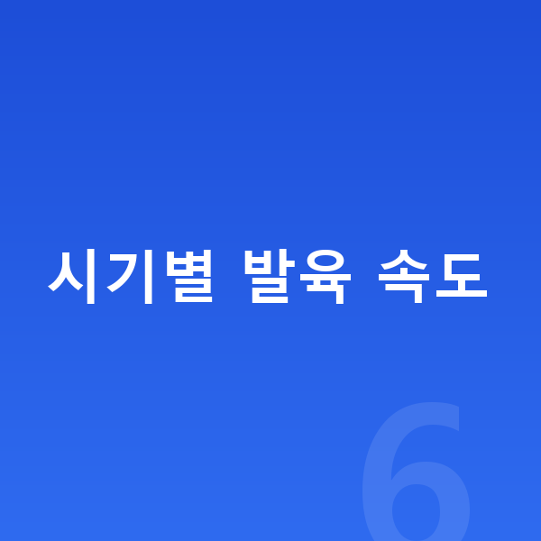 성장발육 시기별 발육 속도