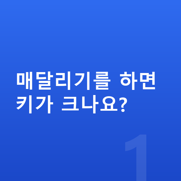 성장 스트레칭 매달리기를 하면 키가 크나요?