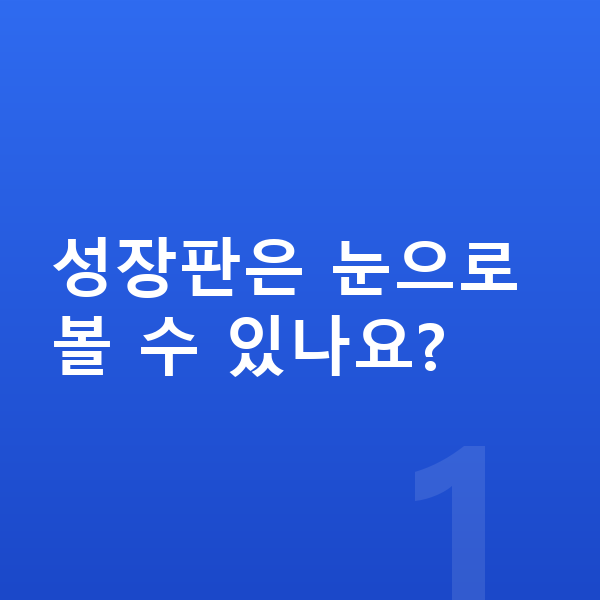 성장판 성장판은 눈으로 볼 수 있나요?