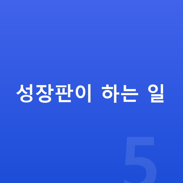 성장판 성장판이 하는 일