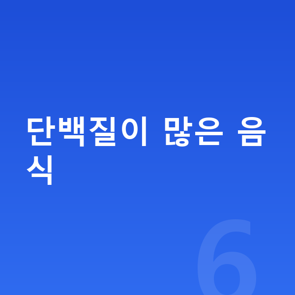 아이 단백질 단백질이 많은 음식