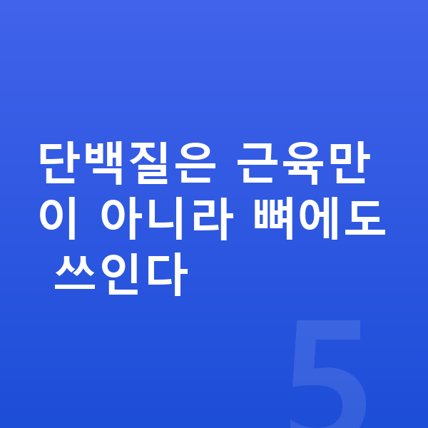 아이 성장 단백질 단백질은 근육만이 아니라 뼈에도 쓰인다