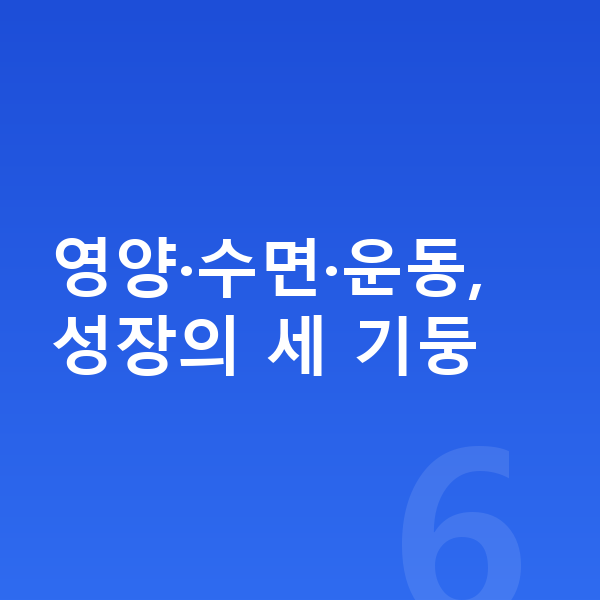 아이 키 빨리 크는법 영양·수면·운동, 성장의 세 기둥