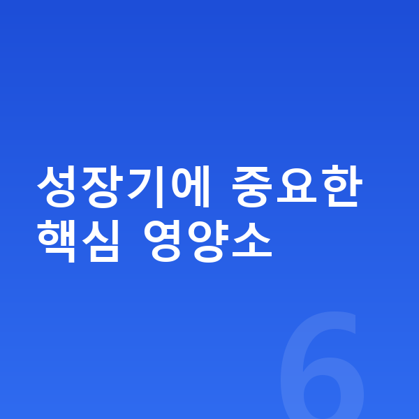 아이 키크는영양 성장기에 중요한 핵심 영양소