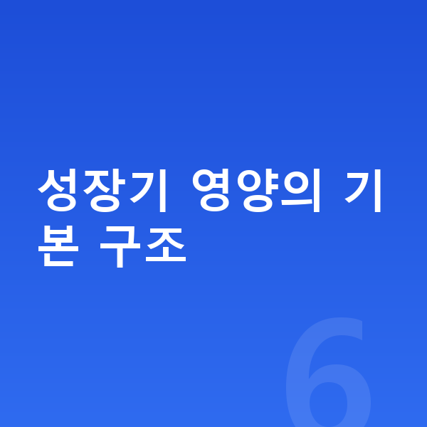 어린이 성장영양제 성장기 영양의 기본 구조