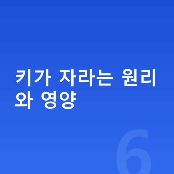 어린이 키성장영양제 키가 자라는 원리와 영양