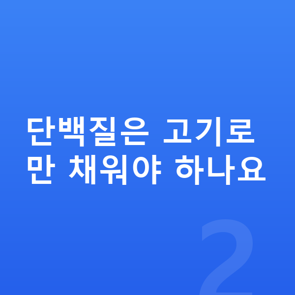 우리아이 단백질 단백질은 고기로만 채워야 하나요
