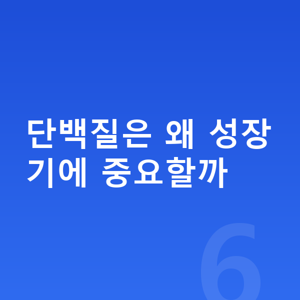 우리아이 단백질 단백질은 왜 성장기에 중요할까
