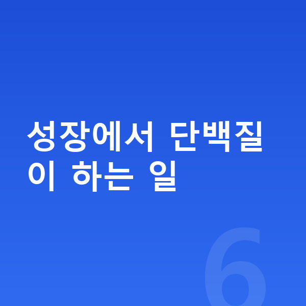 우리아이 성장 단백질 성장에서 단백질이 하는 일