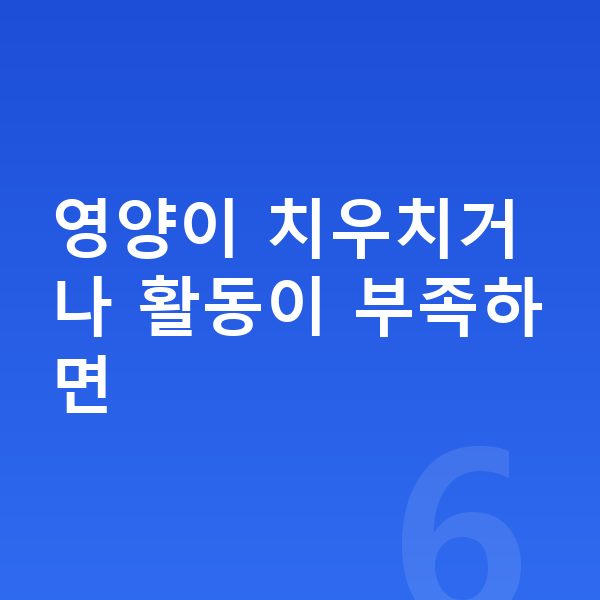 우리아이 키크는 방법 영양이 치우치거나 활동이 부족하면