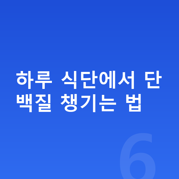 중학생 성장 단백질 하루 식단에서 단백질 챙기는 법