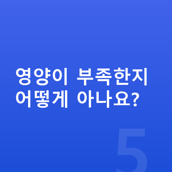 중학생 키크는영양 영양이 부족한지 어떻게 아나요?