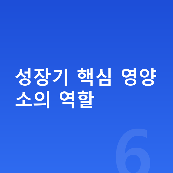 중학생 키크는영양 성장기 핵심 영양소의 역할