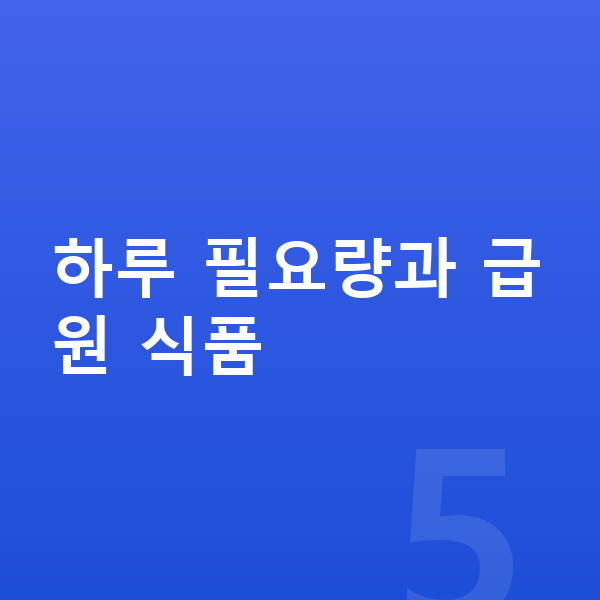 청소년 단백질 하루 필요량과 급원 식품