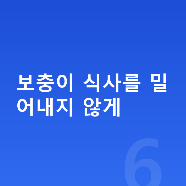 청소년 단백질 추천 보충이 식사를 밀어내지 않게