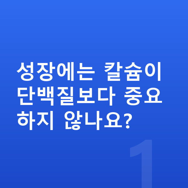 청소년 성장 단백질 성장에는 칼슘이 단백질보다 중요하지 않나요?