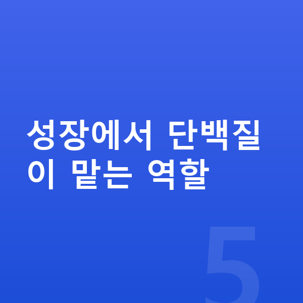 청소년 성장 단백질 성장에서 단백질이 맡는 역할