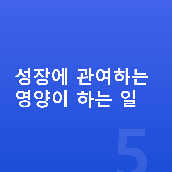 청소년 성장영양제 성장에 관여하는 영양이 하는 일