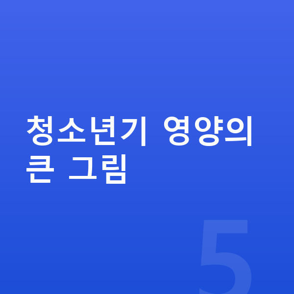 청소년 영양 청소년기 영양의 큰 그림