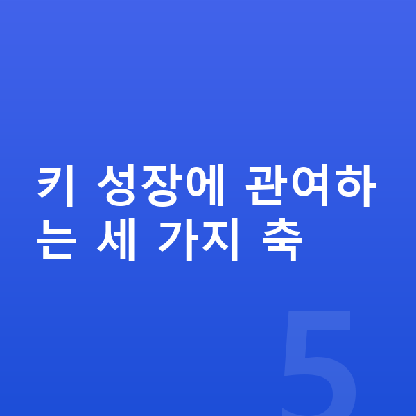 청소년 키성장영양제 키 성장에 관여하는 세 가지 축