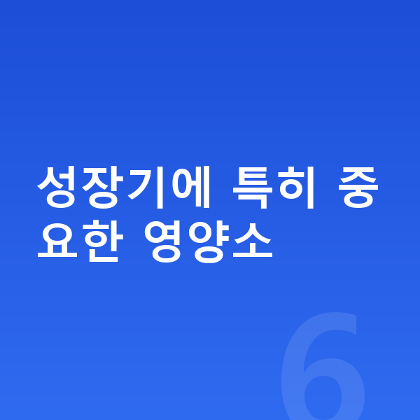 청소년 키크는영양 성장기에 특히 중요한 영양소