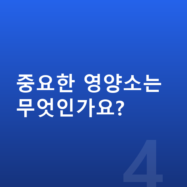 초등학교 6학년 여아 평균키 중요한 영양소는 무엇인가요?