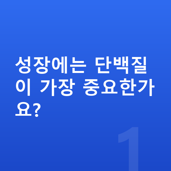 초등학생 성장 단백질 성장에는 단백질이 가장 중요한가요?