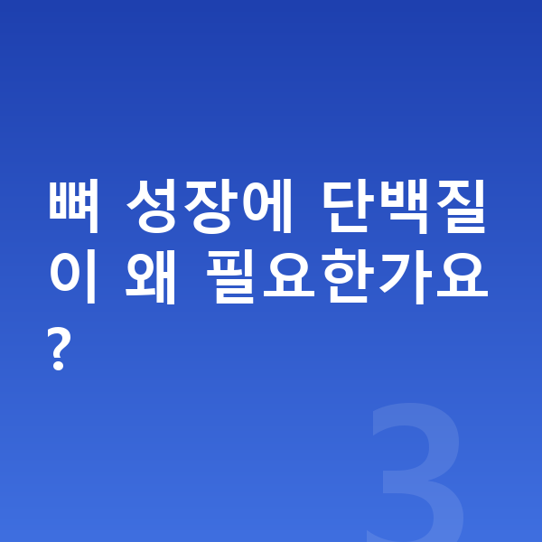 초등학생 성장 단백질 뼈 성장에 단백질이 왜 필요한가요?