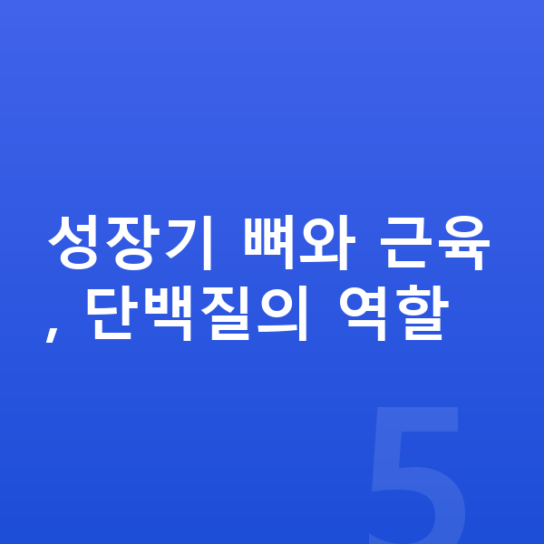 초등학생 성장 단백질 성장기 뼈와 근육, 단백질의 역할