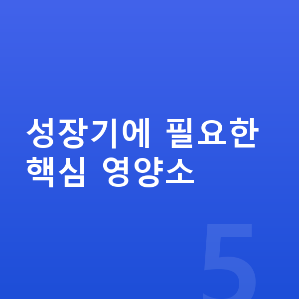 초등학생 키크는영양 성장기에 필요한 핵심 영양소
