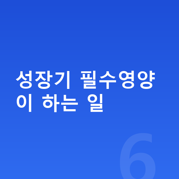 키성장 필수영양 성장기 필수영양이 하는 일