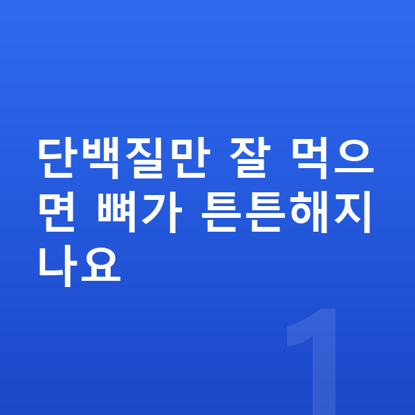 키즈 성장 단백질 단백질만 잘 먹으면 뼈가 튼튼해지나요