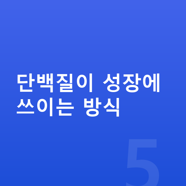 키즈 성장 단백질 단백질이 성장에 쓰이는 방식